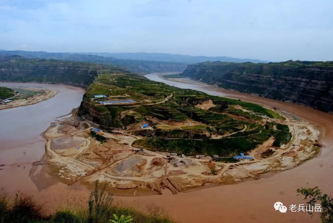 狗头枣多少钱一斤_狗头枣_陕北狗头枣多少钱一斤