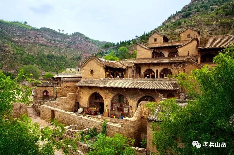 陕北狗头枣多少钱一斤_狗头枣_狗头枣多少钱一斤