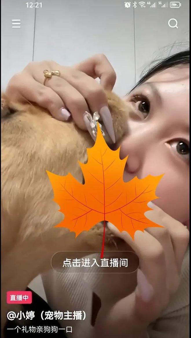逆风如解逆容易莫摧残_逆风如解意容易莫摧残下一句_逆风如解意容易莫摧残什么意思