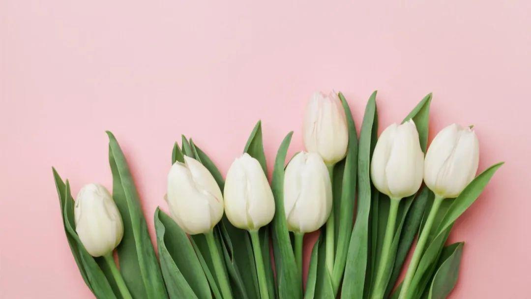 孺子不可教_孺子可教孺是什么意思_孺子可教孺子