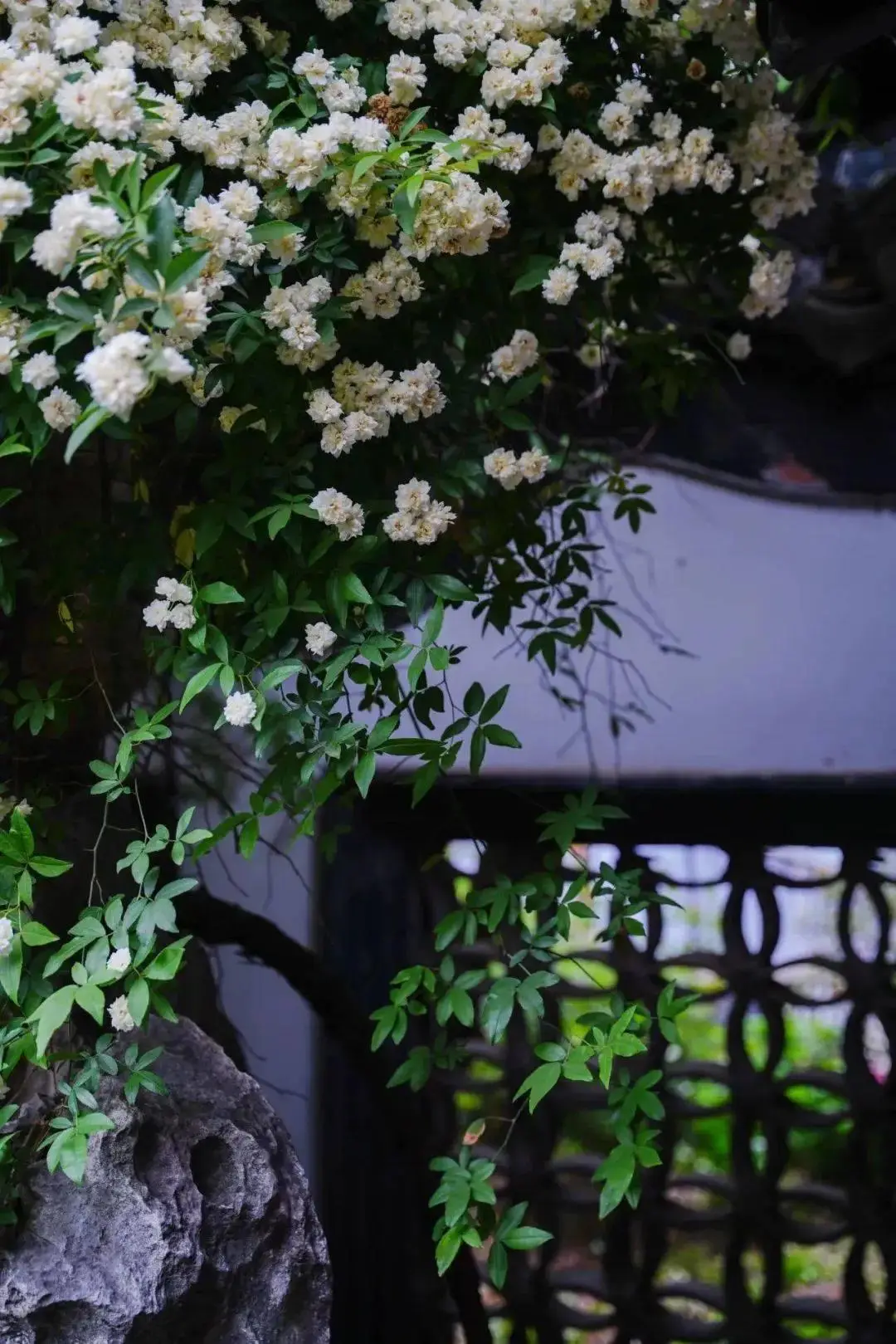 敬亭山这首诗是什么意思_敬亭山是哪首诗_相看两不厌只有敬亭山