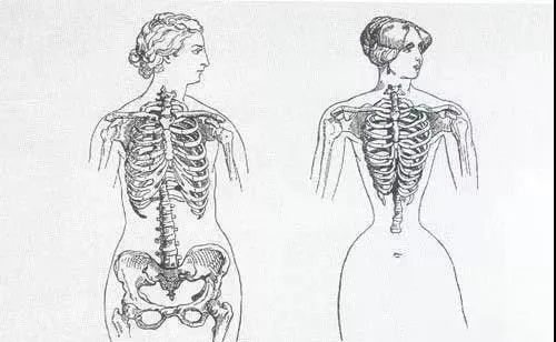 大象怀孕生产过程视频_大象生孩子_大象怀孕多久生产