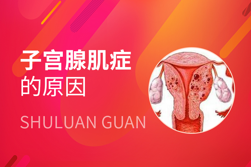 大象怀孕多久生产_大象怀孕生产过程视频_大象生孩子