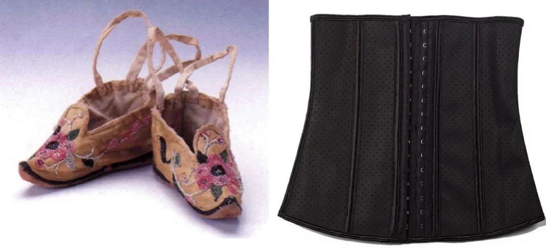 大象生孩子_大象怀孕生产过程视频_大象怀孕多久生产