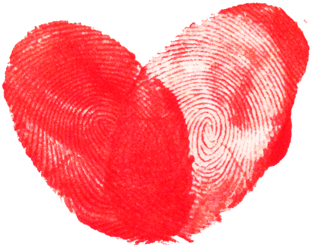 信阳航空服务学校简介_信阳航空服务学校_信阳航空服务学校什么时候开学