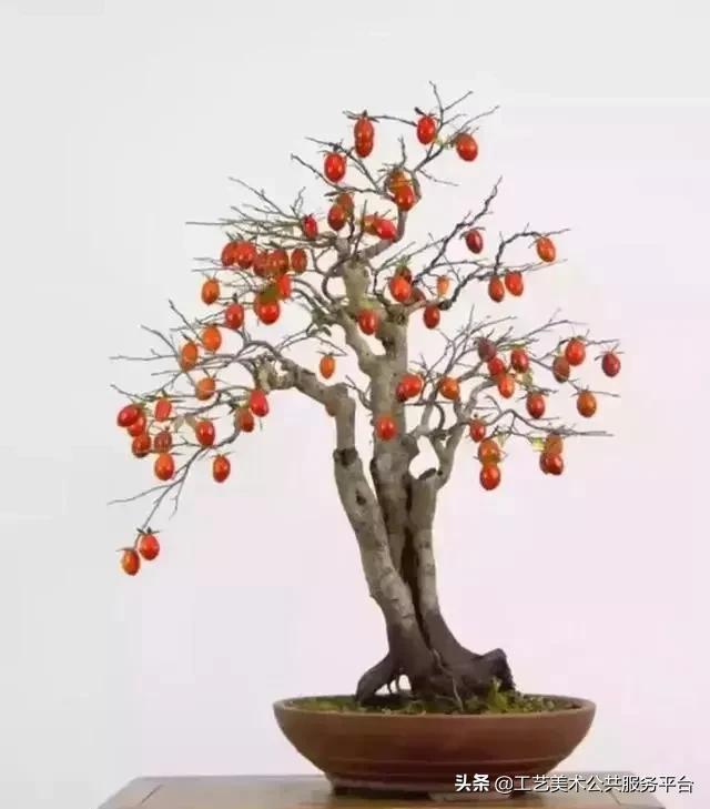 寓意松树象征是什么生肖_松树象征的寓意_松树的寓意象征是什么