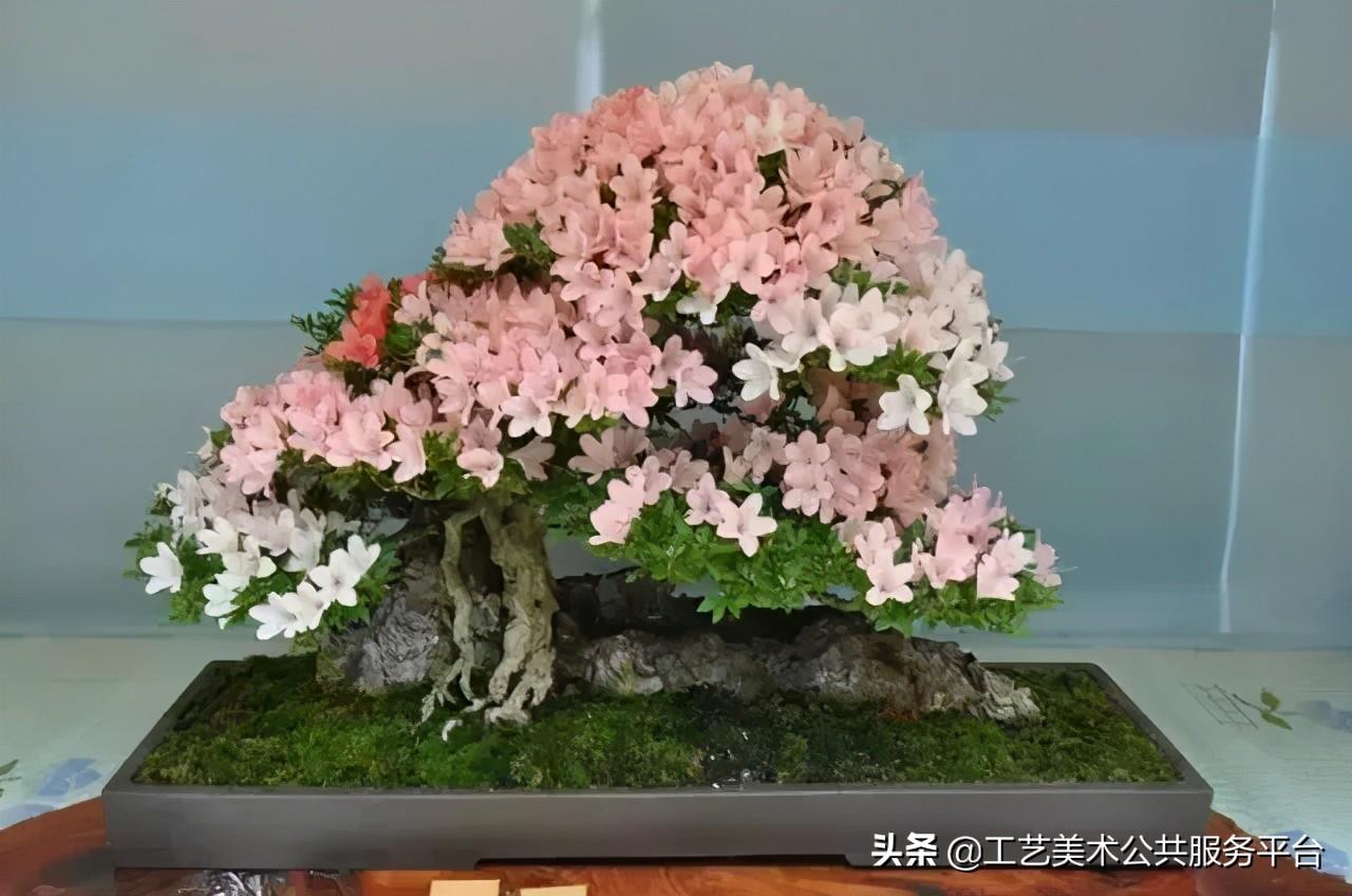 松树象征的寓意_松树的寓意象征是什么_寓意松树象征是什么生肖