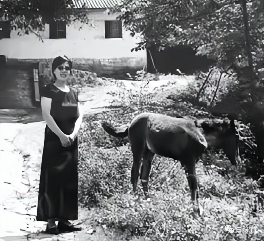 贤妻分集介绍_贤妻分集介绍大结局_贤妻分集介绍大全