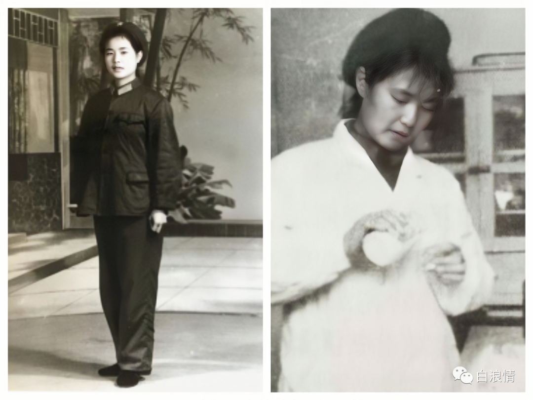 贤妻分集介绍大全_贤妻分集介绍大结局_贤妻分集介绍