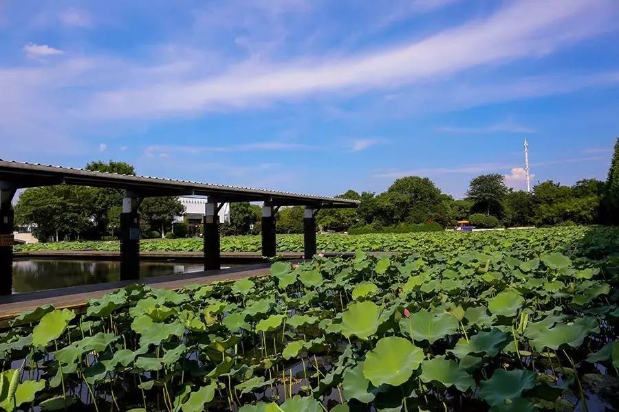 常州天目湖到常州竹海多少公里_常州在哪里_常州租房