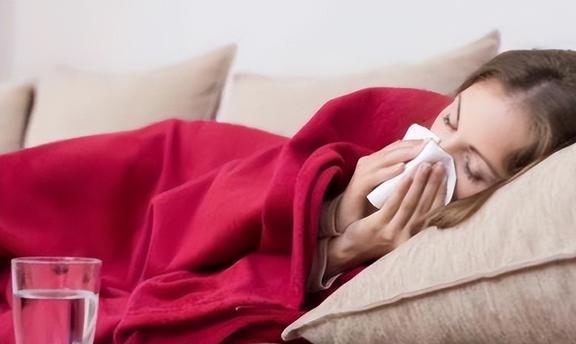 藿香可以吃吗它的功效有哪些_藿香三种人不能吃_藿香禁忌人群