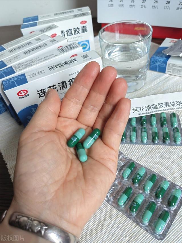 藿香禁忌人群_藿香三种人不能吃_藿香可以吃吗它的功效有哪些