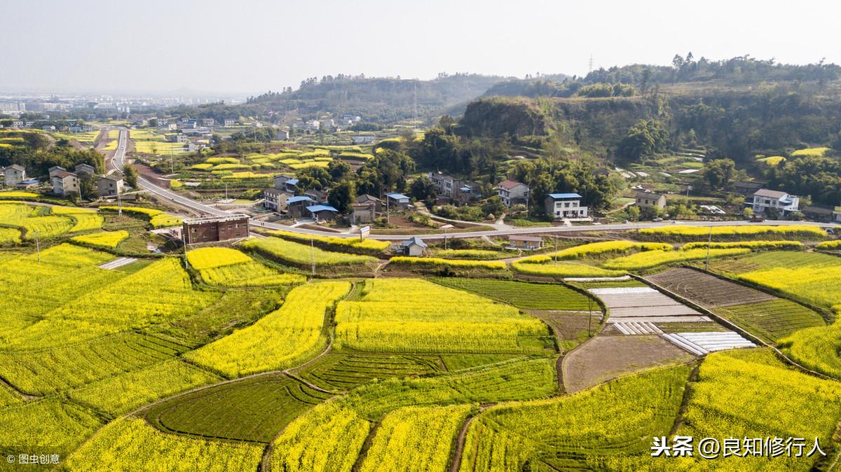 白居易诗名有四的诗_白居易最有名的十首诗_白居易诗名大全
