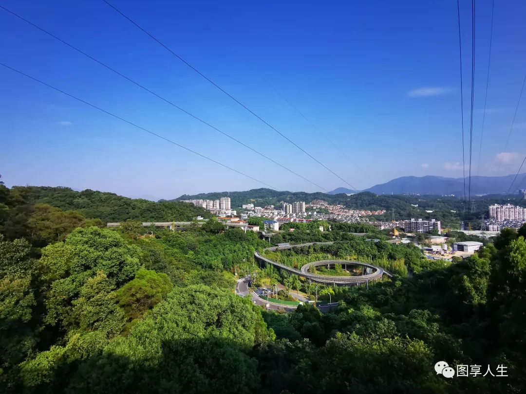 白首方悔读书迟作文800_白首方悔读书迟上_白首方悔读书迟的上一句是什么