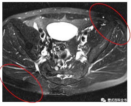硬件系统最核心的部件_硬件系统_硬件系统五大组成部分