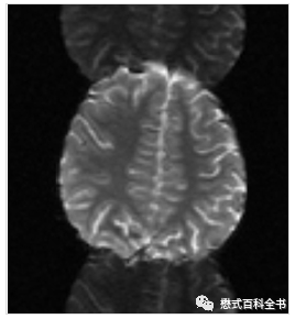 硬件系统_硬件系统五大组成部分_硬件系统最核心的部件