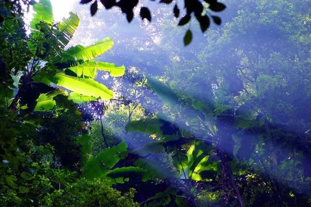 习水县属于哪个市_习水县属于哪个市_习水县属于哪个市