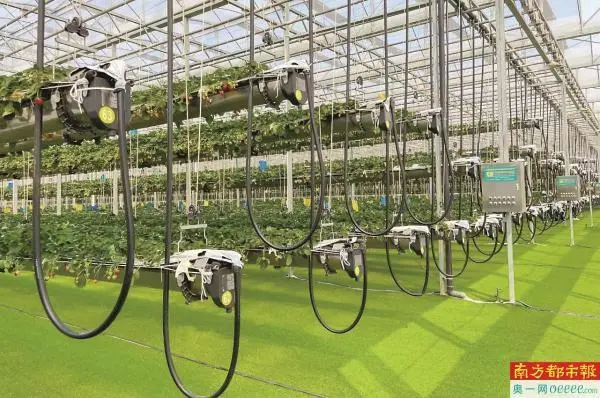 人才强企战略总结_人才强企战略_企业人才战略总结