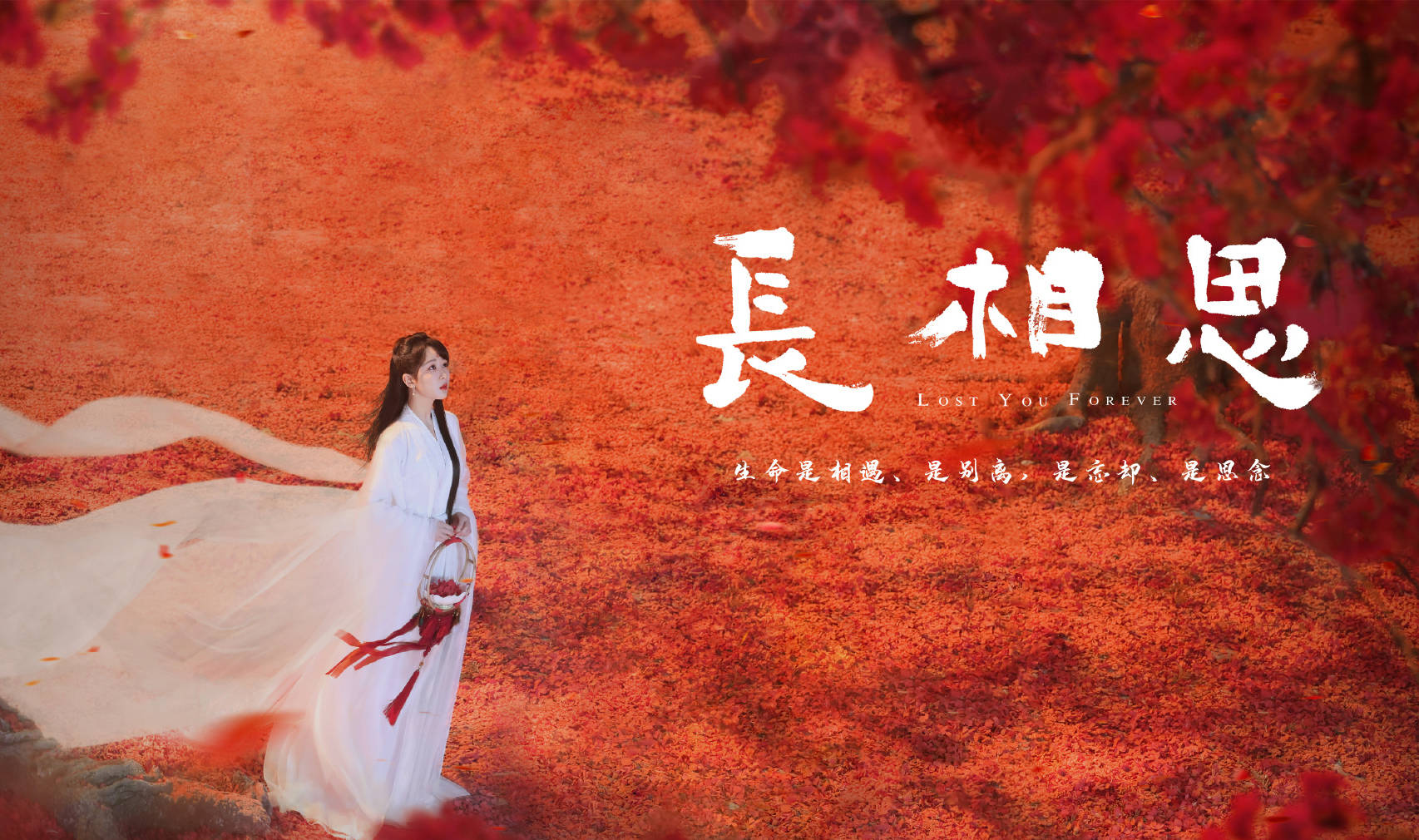 学生证件照片_学生证照片_证件照学生图片