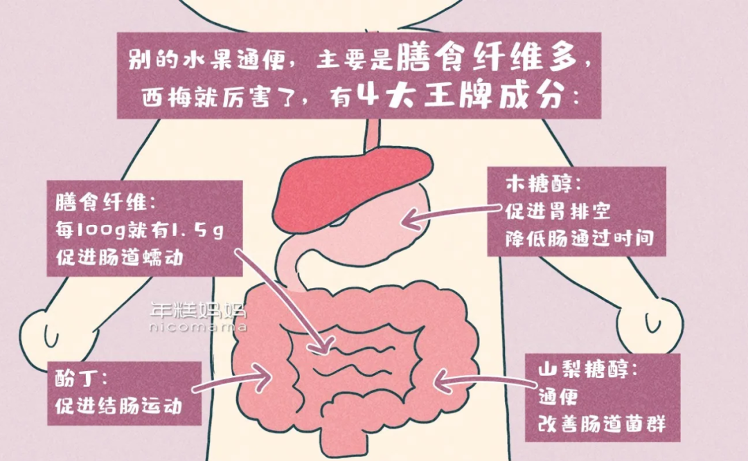 每天吃西梅干能减肥吗_一天吃几个西梅干治便秘_西梅干一天吃几颗最好