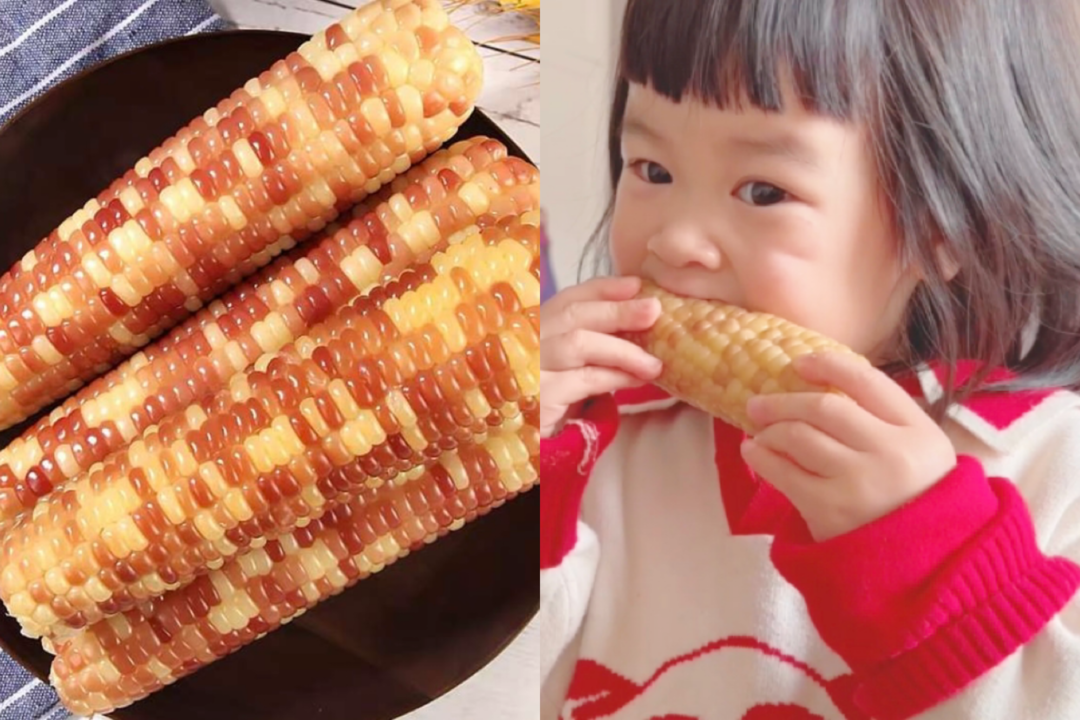 西梅干一天吃几颗最好_每天吃西梅干能减肥吗_一天吃几个西梅干治便秘