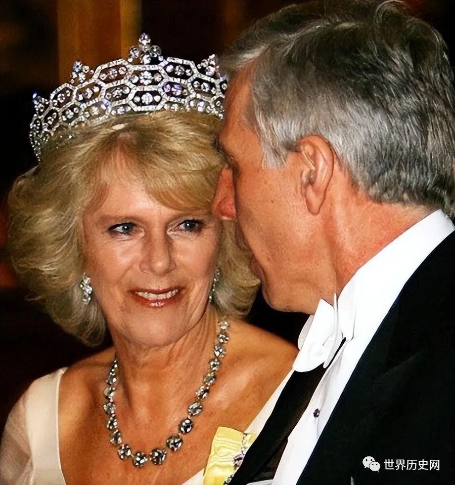 亲王阿尔伯特剑桥大学校长_阿尔伯特亲王强势丈夫_阿尔伯特亲王