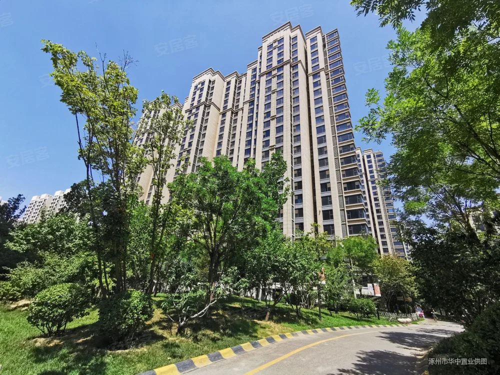 75轻钢龙骨_龙骨轻钢龙骨价格_龙骨轻钢多少钱一米