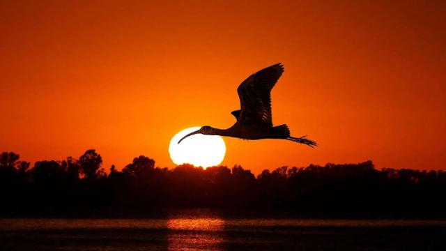 谢小谢是什么电视剧_大谢小谢是谁_谢小谢是什么电影