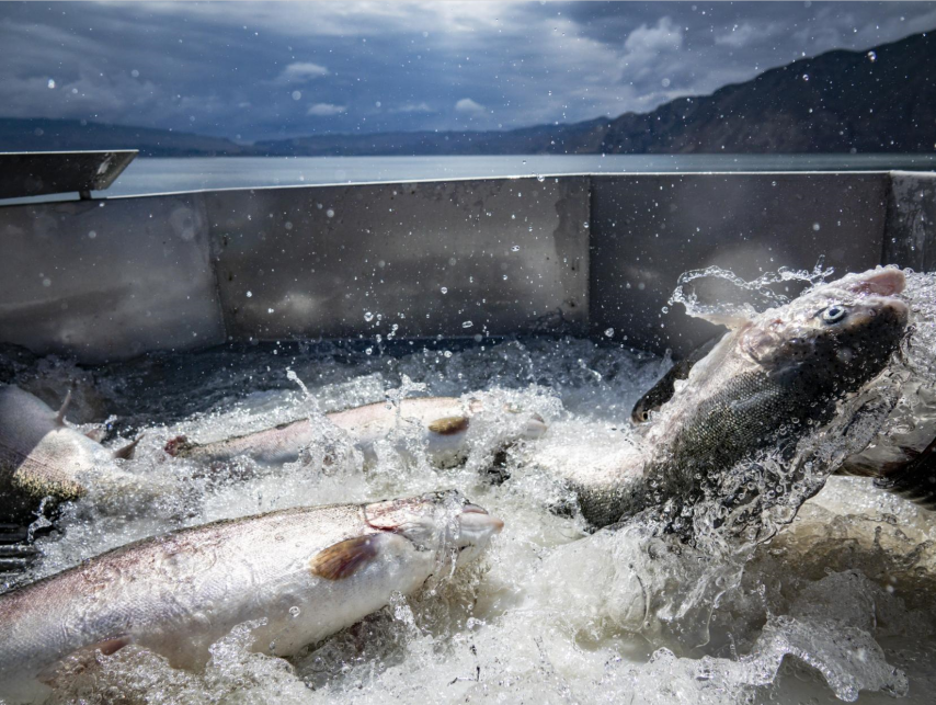 杭州所在省的简称_杭州在哪里哪个省份_杭州的省