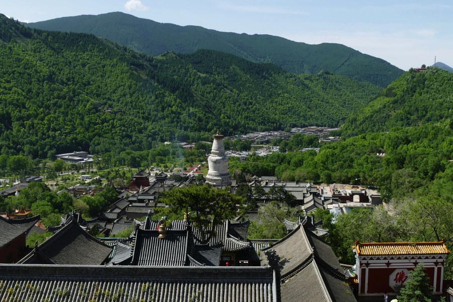 五台山尼姑做鸡赚游客钱_尼姑赚钱多_尼姑庵赚钱吗