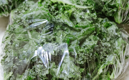 趣丁网_趣丁网模板_趣丁网百度百科