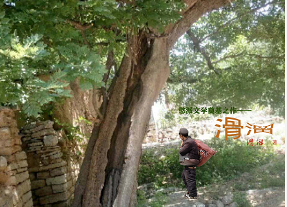 贾府为什么败落_贾府败落的具体表现_贾府败落的原因