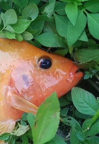 登机箱_登机箱最大尺寸_登机箱什么牌子好