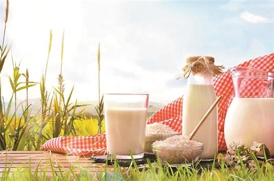 牛初乳-牛奶还能继续喝吗？专家为你答疑解惑