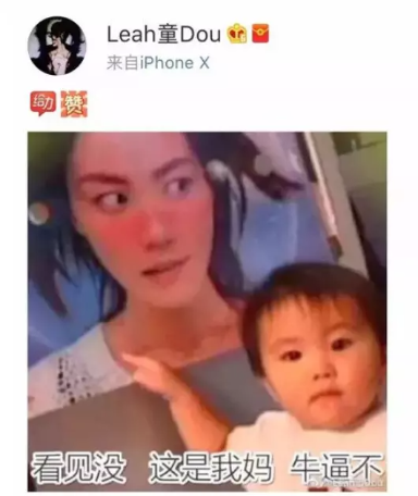 王菲个人资料_王菲资料个人资料_王菲资料