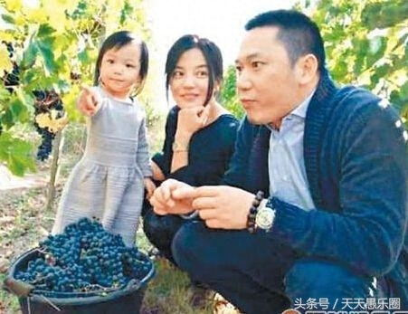 揭秘赵薇老公黄有龙:背景神秘 和马云关系非同一般