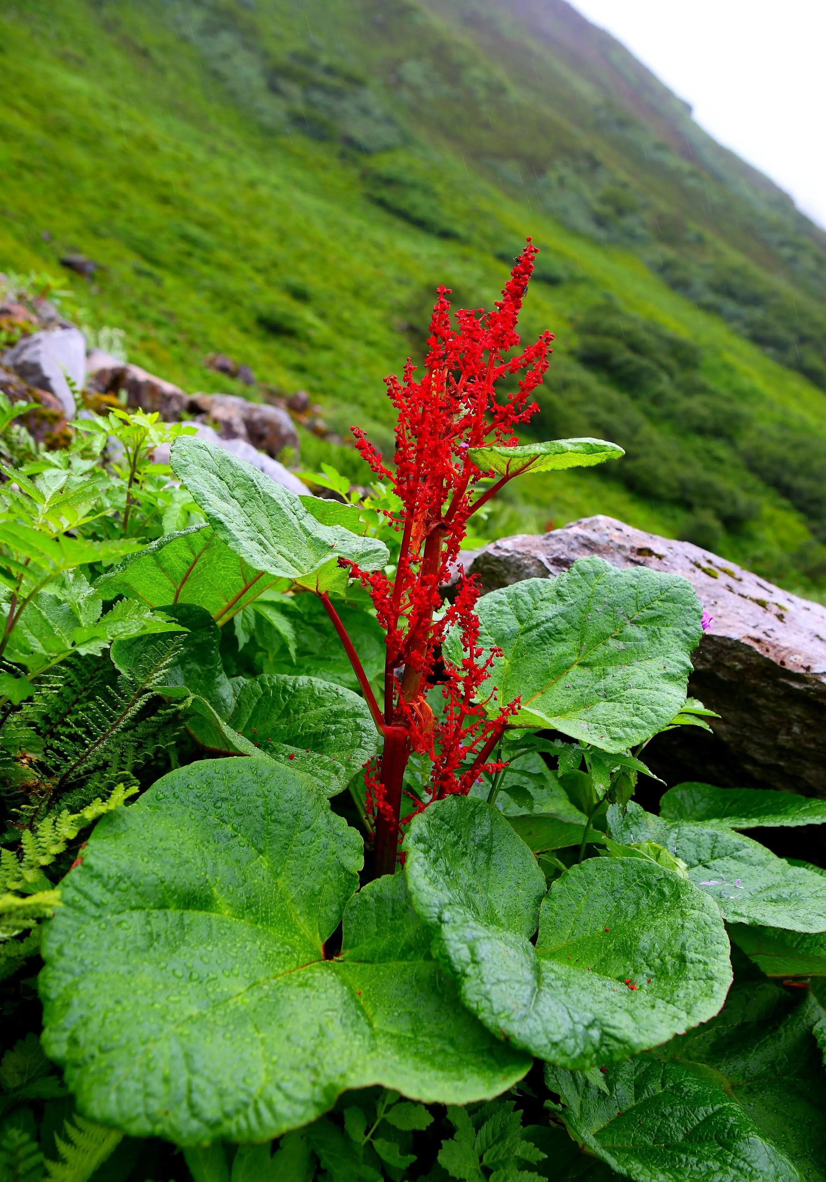 屏息凝神-在敦煌莫高窟“面壁”是一种什么样的体验？