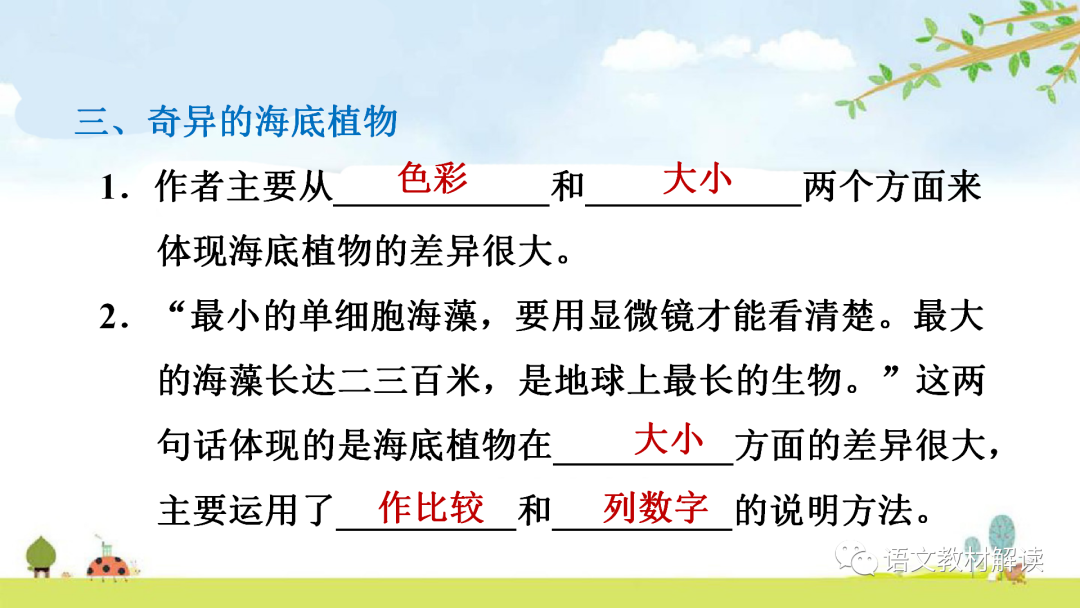 大熊猫的样子描写外貌_外貌熊猫样子描写大树的句子_熊猫外貌描写句子