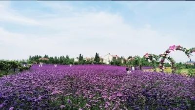 乡村振兴正当时荆楚大地气象新