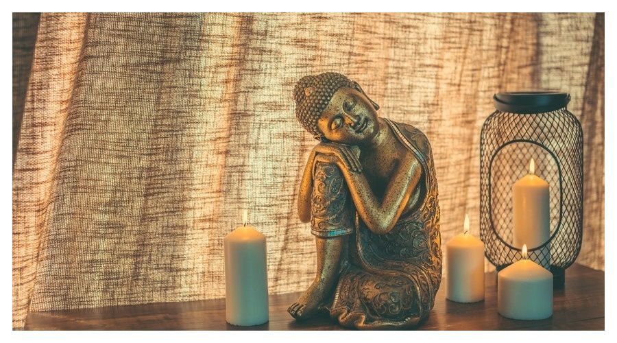 灰伯劳-苏小旗：归巢（一）