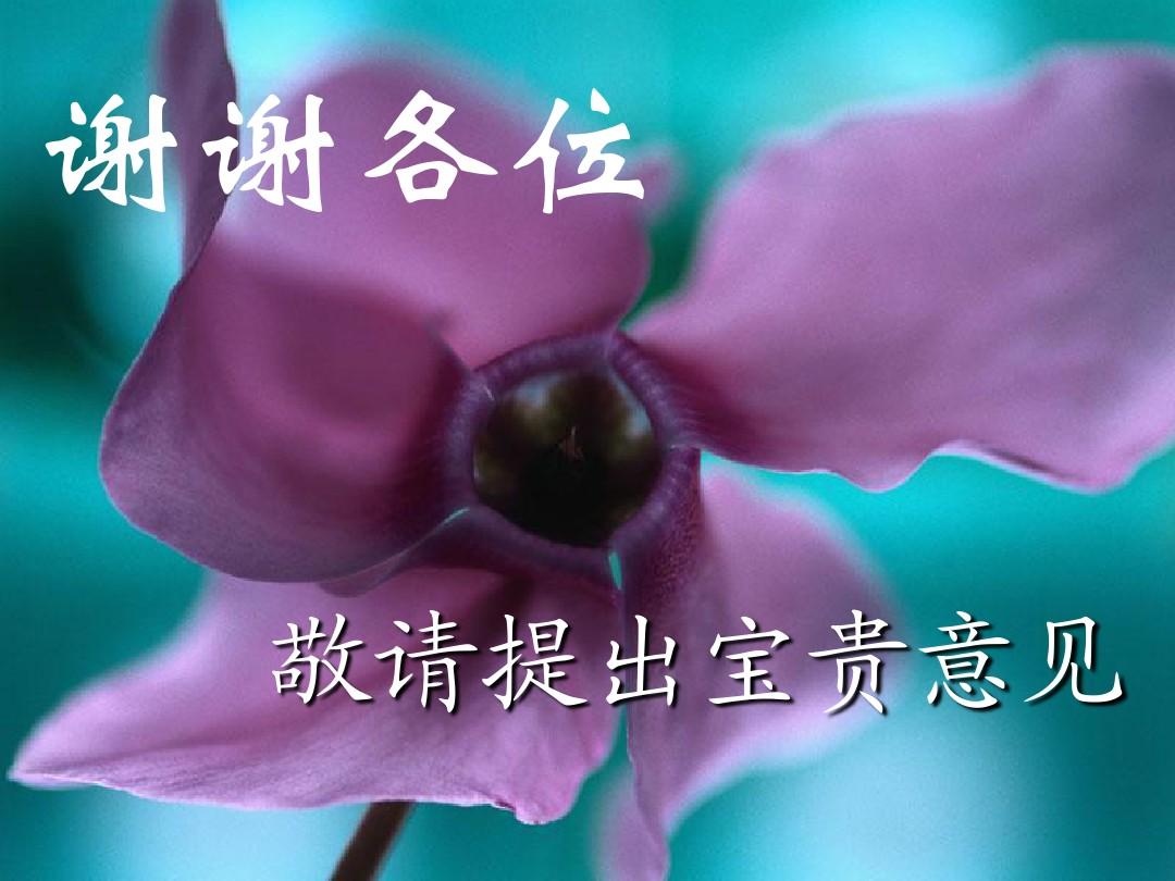 管理者代表岗位职责_管理者代表职责_管理者代表的主要职责