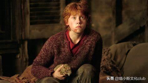 猫头鹰可以养吗-哈利波特：入学清单只允许养三种宠物，为何其他宠物也能带入校？