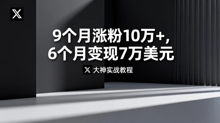 X 大神实战教程：9 个月涨粉10万+，6个月变现7万美元