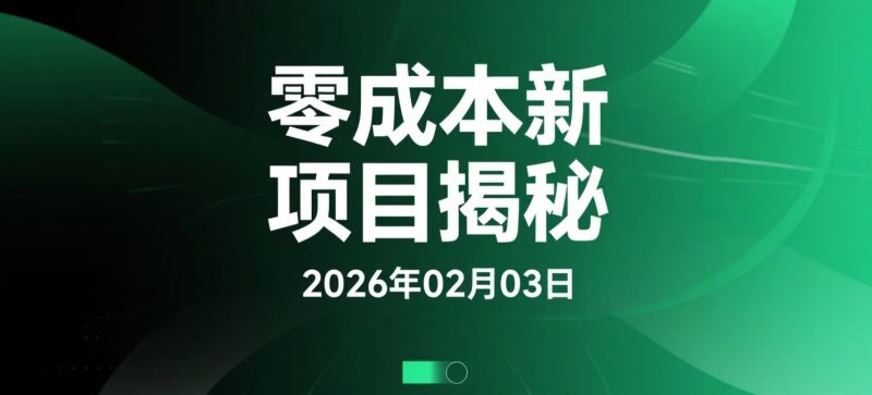 【2026.02.03】零成本新项目揭秘：定价即利润，市场需求火爆！-老高项目网