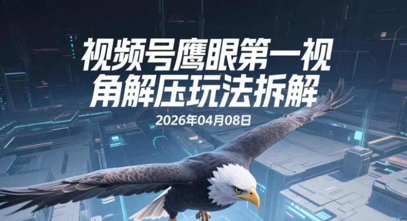 【2026.04.08】视频号鹰眼第一视角解压玩法拆解，多平台分发的实操变现思路-老高项目网